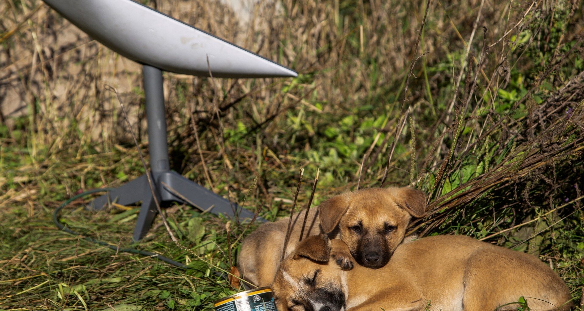 How does the cutoff of Starlink terminals affect Russia’s moves in Ukraine? | Russia-Ukraine war News