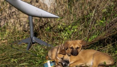 How does the cutoff of Starlink terminals affect Russia’s moves in Ukraine? | Russia-Ukraine war News