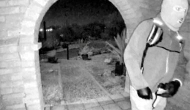 Image shows what the Federal Bureau of Investigation (FBI) describes as an armed individual at Nancy Guthrie's home in Tucson