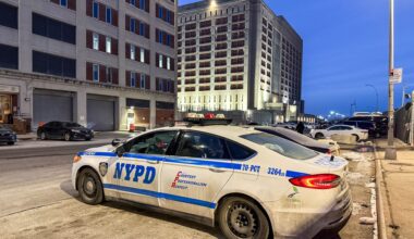 Vide of snow-splattered officers being pelted by a jeering crowd of New Yorkers widely shared on social media