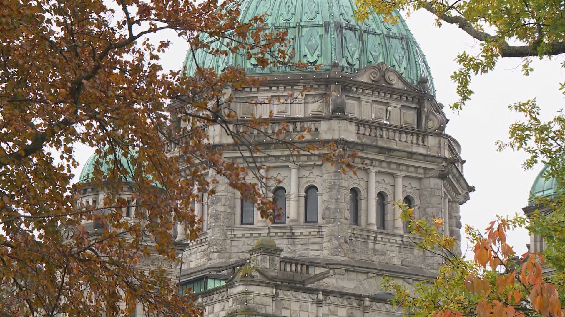 Click to play video: 'B.C. warns of public sector job cuts in upcoming budget'