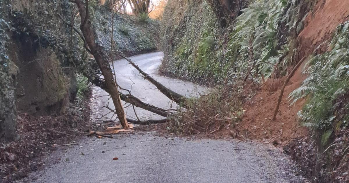 Drivers warned as Dorset road is blocked by landslip