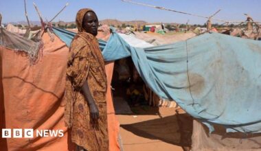A Sudanese displaced woman at a camp for displaced people who fled from al-Fashir to Tawila, North Darfur, Sudan