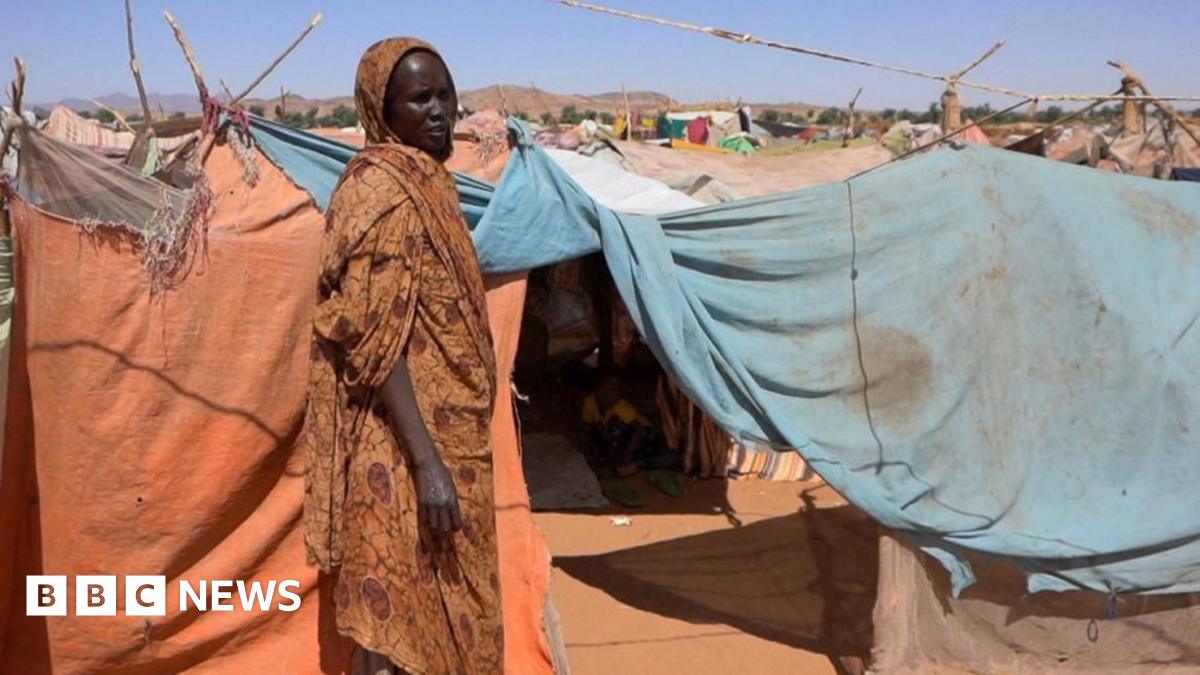 A Sudanese displaced woman at a camp for displaced people who fled from al-Fashir to Tawila, North Darfur, Sudan