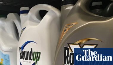 Trump order seeks to protect weedkiller at center of barrage of lawsuits | Pesticides