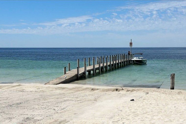 Appelbee made it across four kilometres (2.5 miles) of ocean to raise the alarm after his mother and two younger siblings were swept out to sea. 
