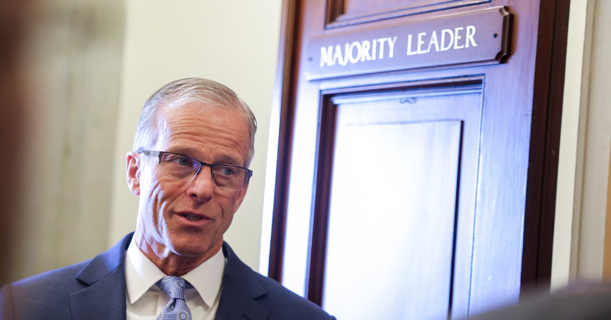 Senate GOP Leader John Thune says he disagrees with Trump that Congress should 'nationalize' elections