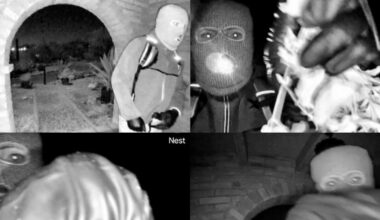 Digital forensics could be the tool that helps 'paint a picture of truth' in the Guthrie case