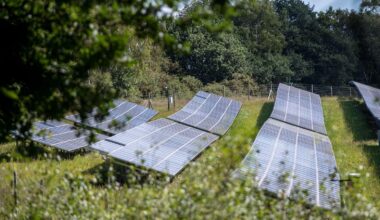 Q&A: New UK onshore wind and solar is ‘50% cheaper’ than new gas