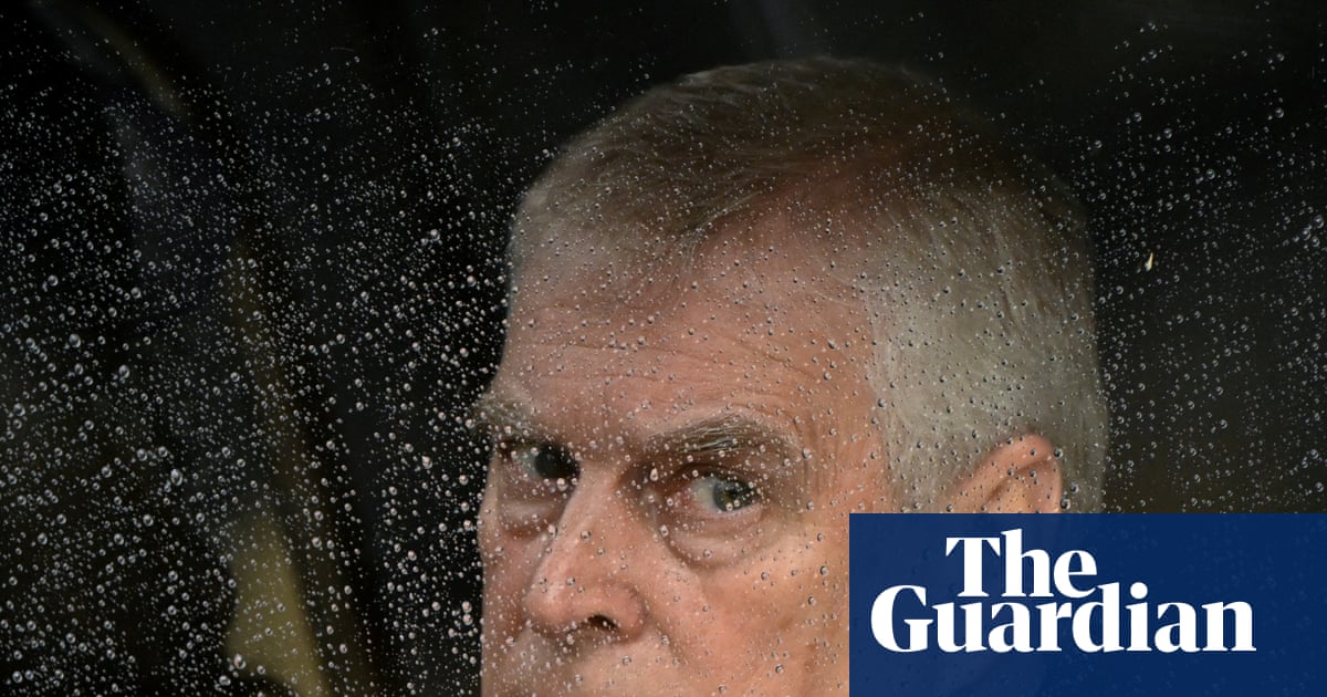 MPs considering investigation into Andrew’s role as UK trade envoy | Andrew Mountbatten-Windsor