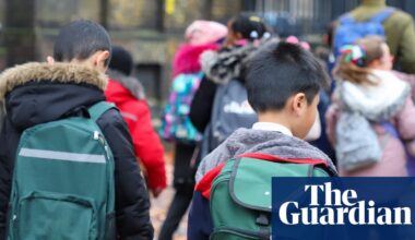 Gender guidance for English primary schoolchildren permits use of different pronouns | Education