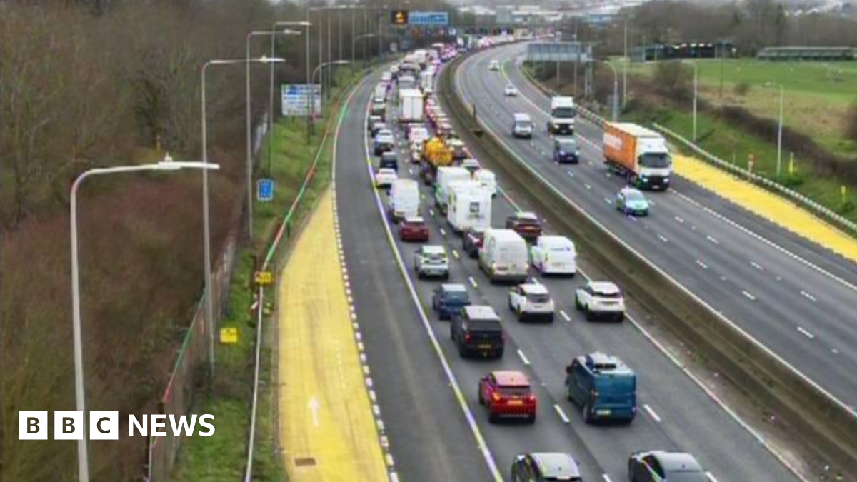 A fossil of part of a crinoid that resembles a row of teeth. The markings form a curved shape with pale, tooth‑like segments set against the darker surface of the fossil. The fossil rests on another rock in the foreground.