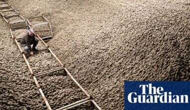 Record harvest sparks mass giveaway of free potatoes across Berlin | Germany