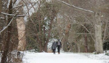 Residents still get out and about as snow abates but temperatures dip and wind arrives bringing a wind chill of -6 to Victoria&rsquo;s Beacon Hill Park on Feb. 4, 2025. (Christine van Reeuwyk/Victoria News)