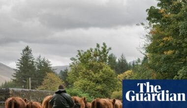 Post-Brexit sales of British farm products to EU fall by 37% | Farming
