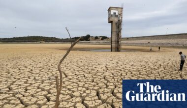 Flawed economic models mean climate crisis could crash global economy, experts warn | Green economy