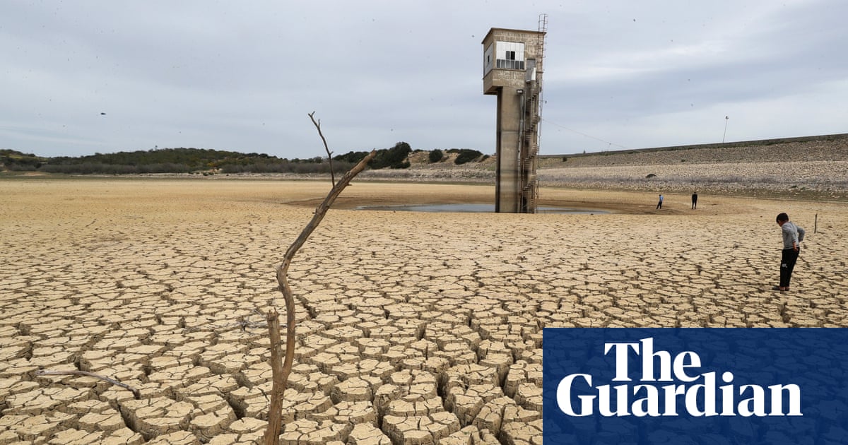 Flawed economic models mean climate crisis could crash global economy, experts warn | Green economy