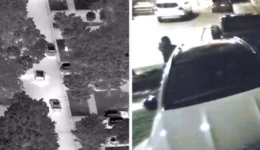 Toronto cops accused of leaking info to ‘key’ organized crime figure in corruption probe - CTV News