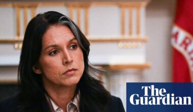 Georgia Democrats call for inquiry into Gabbard’s presence at Fulton county search | Georgia