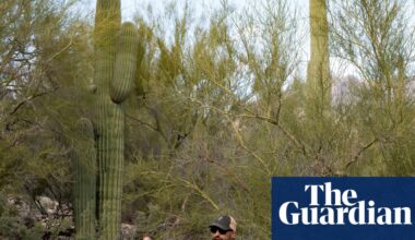 Search for Savannah Guthrie’s mother continues with 18,000-plus calls pouring in | Arizona