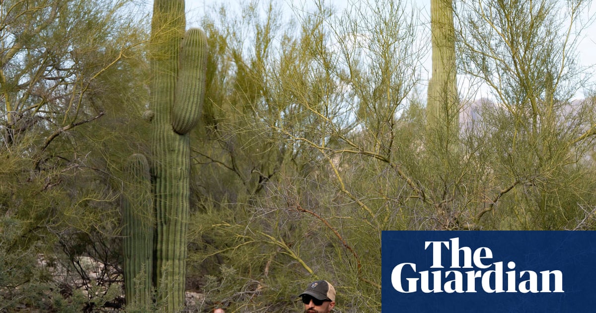 Search for Savannah Guthrie’s mother continues with 18,000-plus calls pouring in | Arizona