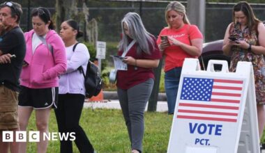 What is the SAVE America Act that mandates voter ID? - BBC