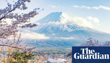 Japan cherry blossom festival cancelled because of unruly tourist ‘crisis’ | Japan