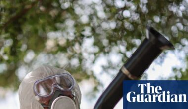 Excruciating tropical disease can now be transmitted in most of Europe, study finds | Infectious diseases