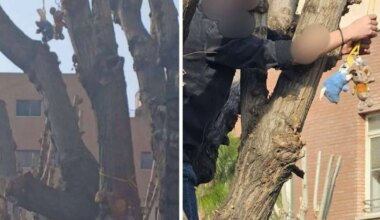 Khamenei ‘rat’ taunt spills from social media onto Iran’s campuses