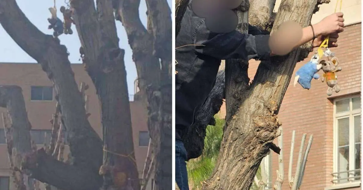 Khamenei ‘rat’ taunt spills from social media onto Iran’s campuses