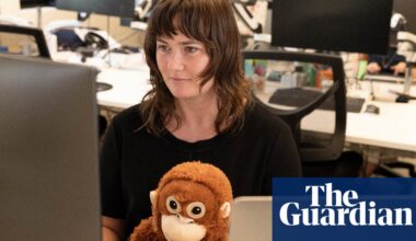 ‘What’s up with all these monkeys’: Djungelskog the orangutan comforted Punch – but can the Ikea toy help me? | Japan
