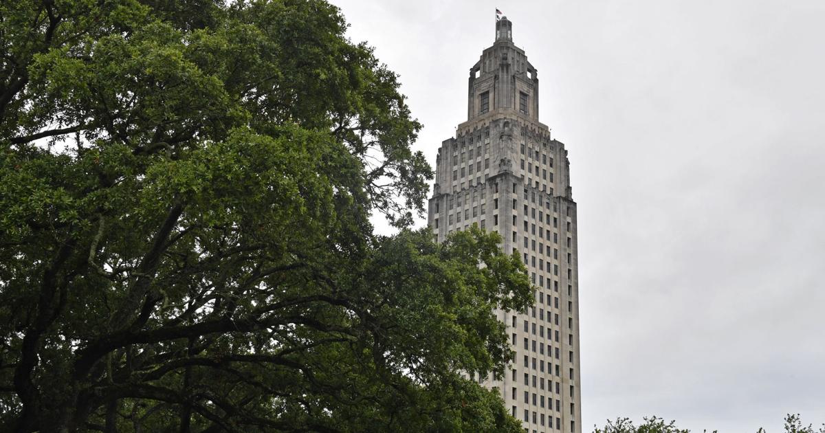 Chasity Verret Martinez wins state house District 60 seat | Elections