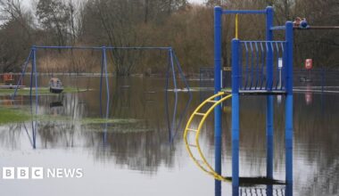 A composite image of the front pages of the Sunday Times and the Observer on 8 February 2026