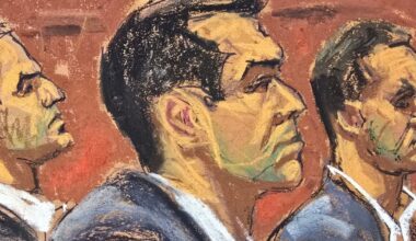 Alexander Brothers Witness Said Hamptons Partygoers Watched an Assault