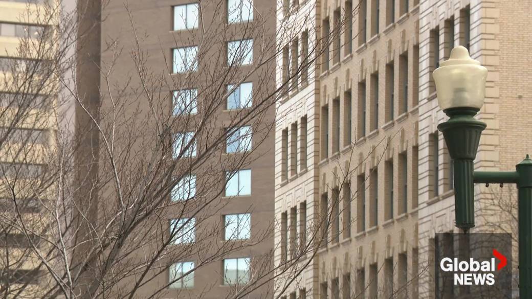 Click to play video: 'Downtown Edmonton businesses welcome back provincial workers'