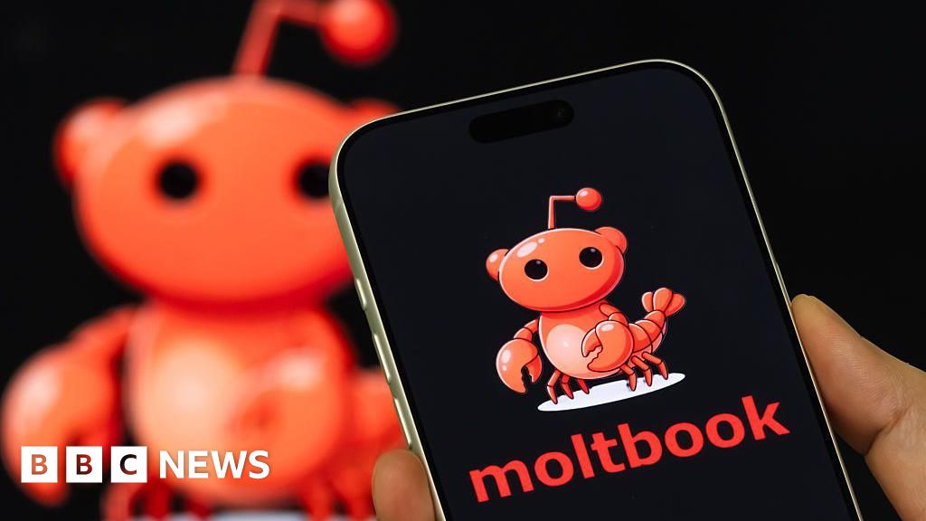What is the 'social media network for AI' Moltbook? - BBC