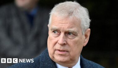 Andrew's time as trade envoy should be investigated, says Vince Cable - BBC