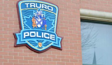 Pedestrian struck by snowplow in Nova Scotia dies in hospital - Halifax