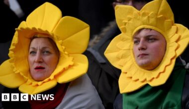 Tens of thousands of Six Nations tickets for Wales home games unsold - BBC