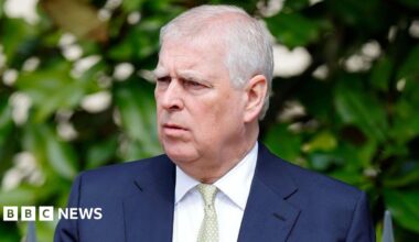 Andrew Mountbatten-Windsor photographed against a green leafy backdrop. He is an older man with short grey hair, wearing a blue suit, white shirt and green tie.