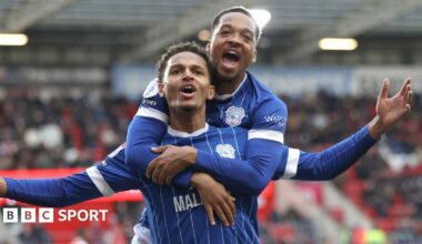 Rotherham United 0-3 Cardiff City: 10-man visitors ease to victory