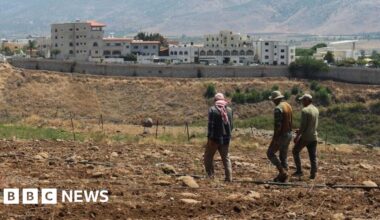 Lebanon says Israel sprayed southern villages with concentrated herbicide - BBC