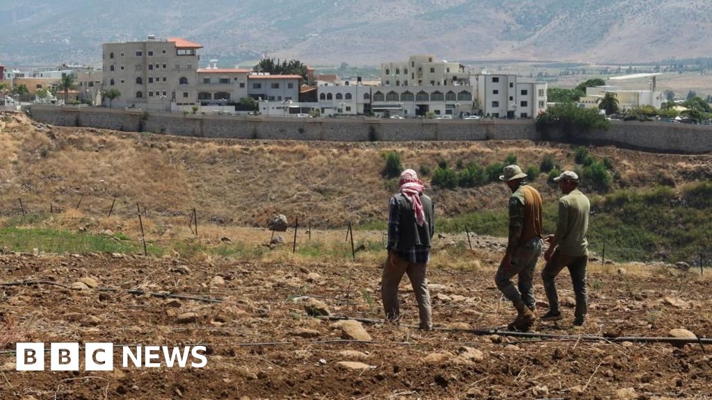 Lebanon says Israel sprayed southern villages with concentrated herbicide - BBC