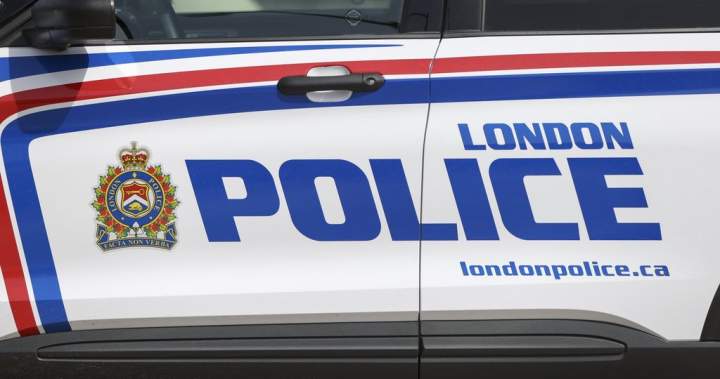 Arrested Western University students were making bombs, firearms, police allege