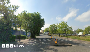 A general view of Hesterman Way in Croydon. There is a zebra crossing and some trees next to it, as well as cars parked on the right-hand side in the distance.