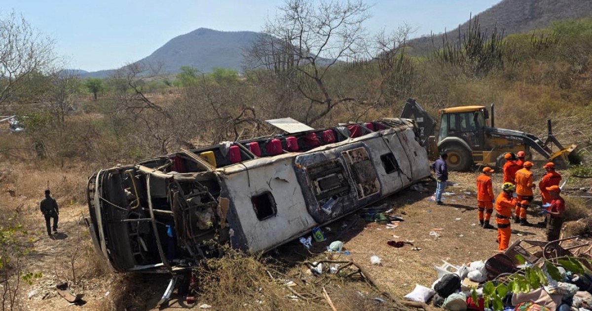 Bus crashes in Brazil’s Alagoas state, killing at least 16 people | Transport News