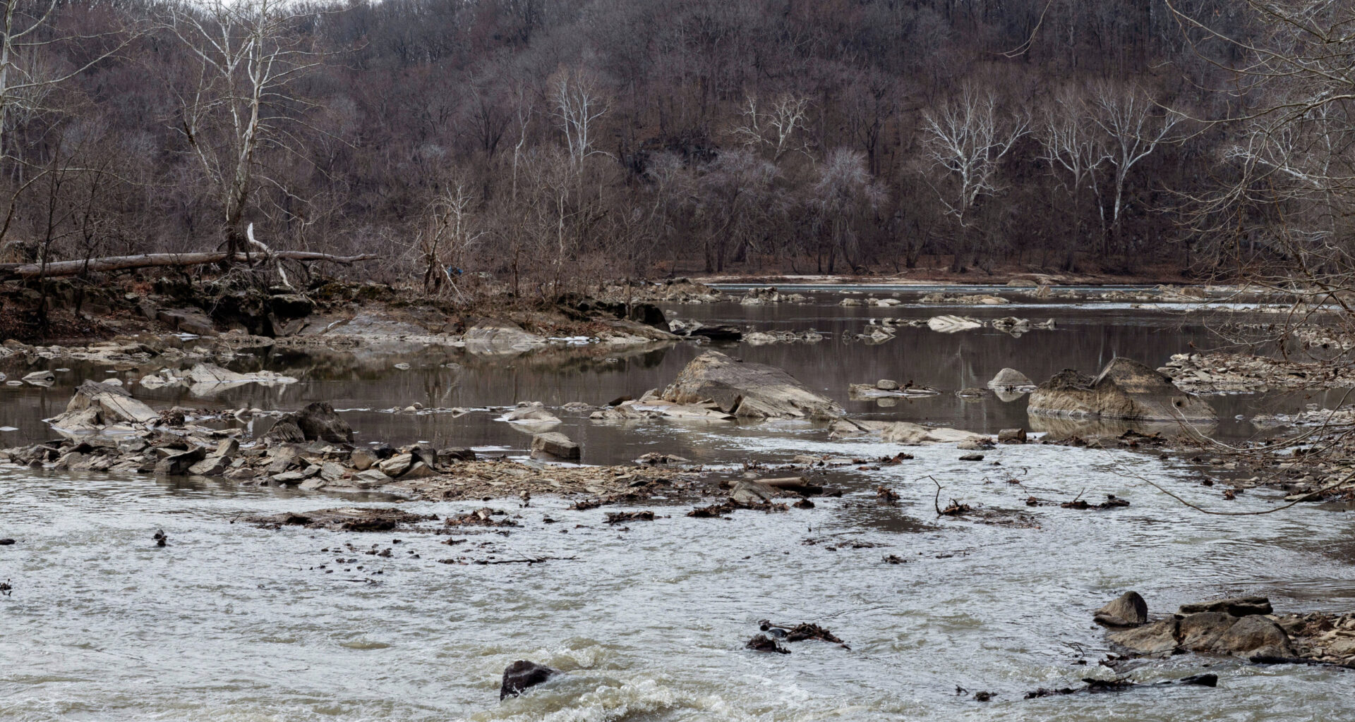 Massive sewage spill into Potomac River: What’s in the water, what are the risks rise as ice melts?