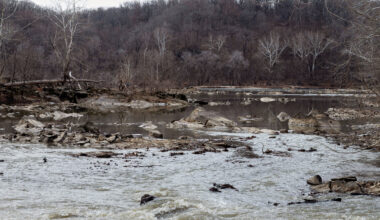 Massive sewage spill into Potomac River: What’s in the water, what are the risks rise as ice melts?