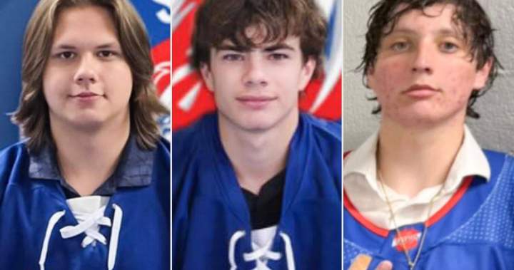‘Only heavy hearts’: Tributes pour in for 3 junior hockey players killed in Alberta collision