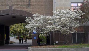 ‘It’s not a freebie’: Ford government defends OSAP changes as opposition continues